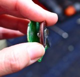 BMW ΜΠΑΤΑΡΙΑ VL 2020